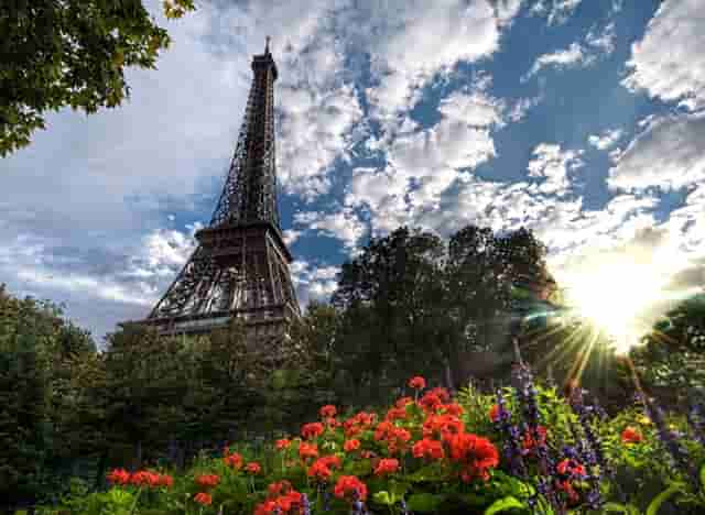 加盟袖虎宠物，你就知道创业很简单！