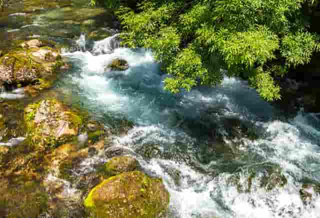 袖虎病猫攻略：冬季猫咪如何防猫癣？