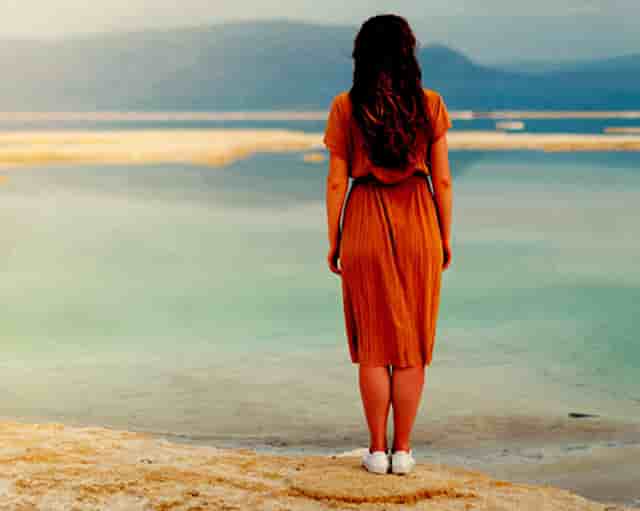 袖虎病猫攻略：小猫总是拉肚子，原因可能是它