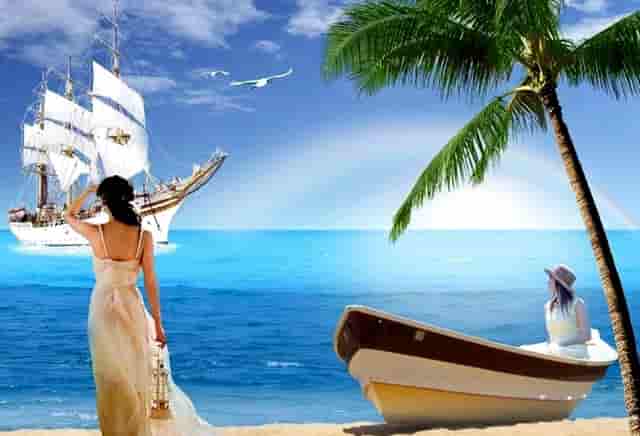 袖虎病猫攻略：对猫过敏怎么办