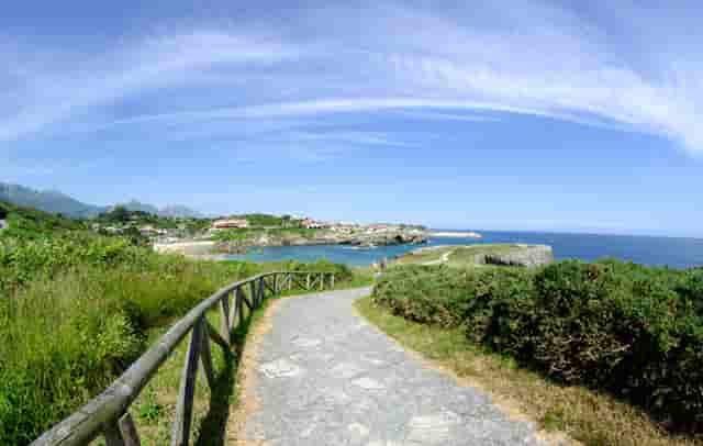 推销药品失败的原因(推销失败的原因是什么)